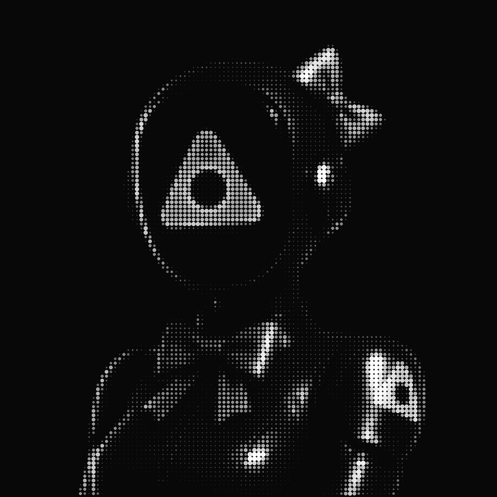 Salma, AppDeen AI employee, engineering halftone portrait